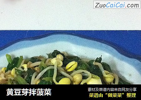 黄豆芽拌菠菜