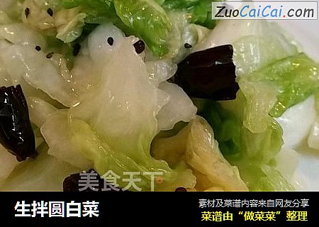 生拌圆白菜
