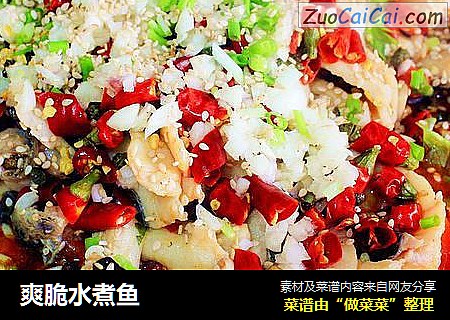 爽脆水煮鱼
