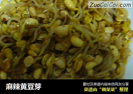 麻辣黄豆芽