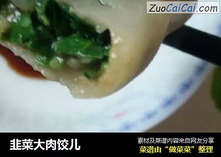 韭菜大肉饺儿
