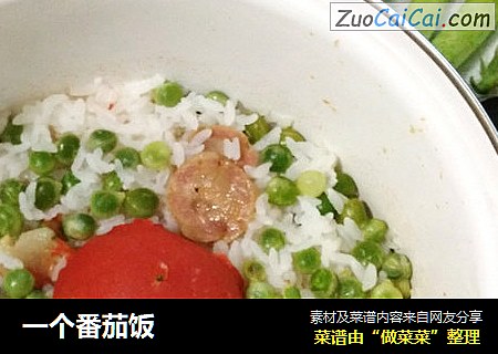 一个番茄饭