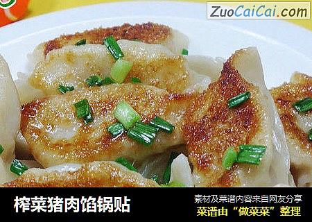 榨菜猪肉馅锅贴