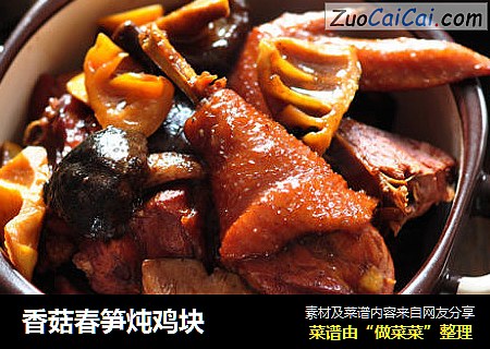 香菇春笋炖鸡块