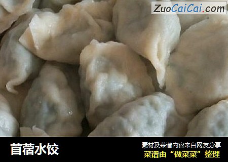 苜蓿水饺