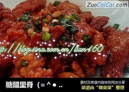 糖醋里脊（=＾● ? ●＾=）