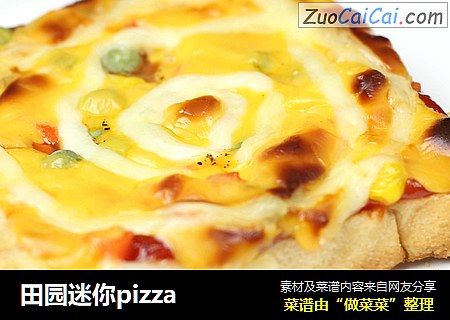 田园迷你pizza