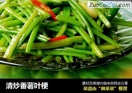 清炒番薯叶梗