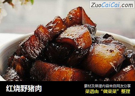 红烧野猪肉