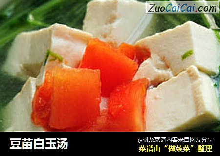 豆苗白玉汤