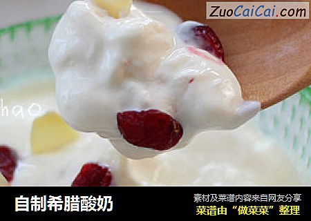 自制希腊酸奶