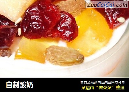 自制酸奶