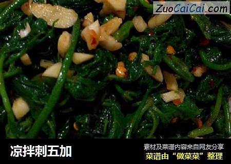 凉拌刺五加