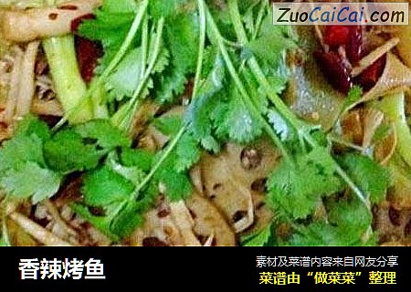 香辣烤鱼