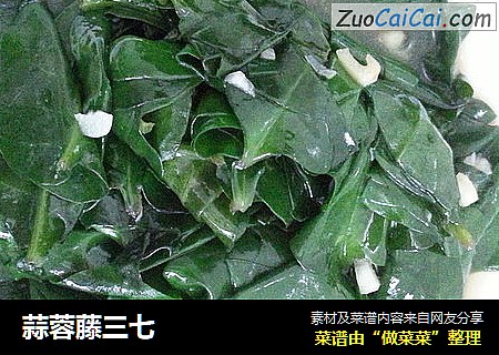 蒜蓉藤三七