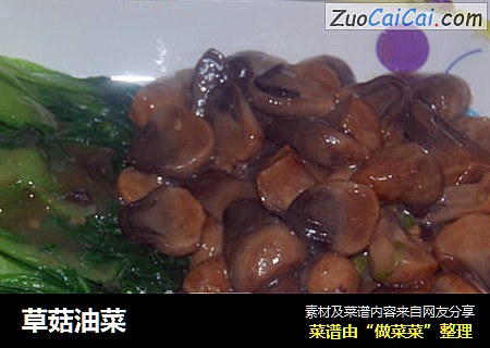 草菇油菜