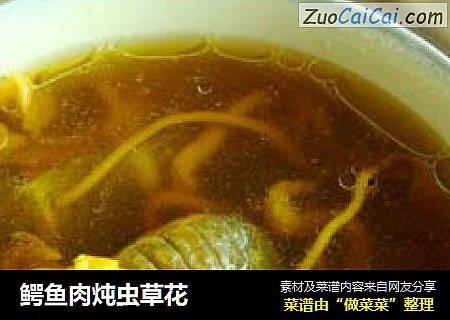 鳄鱼肉炖虫草花