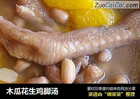 木瓜花生鸡脚汤