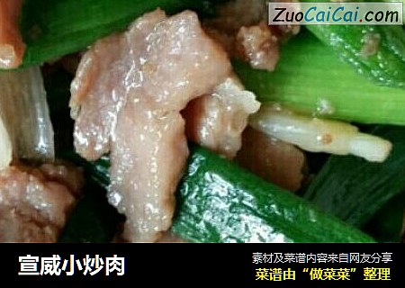 宣威小炒肉