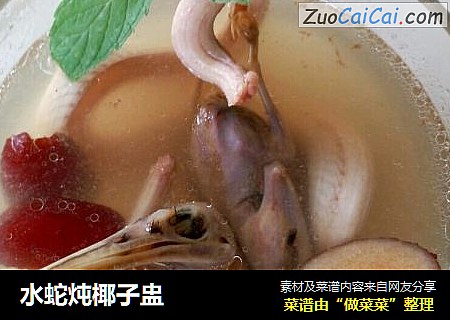 水蛇炖椰子盅