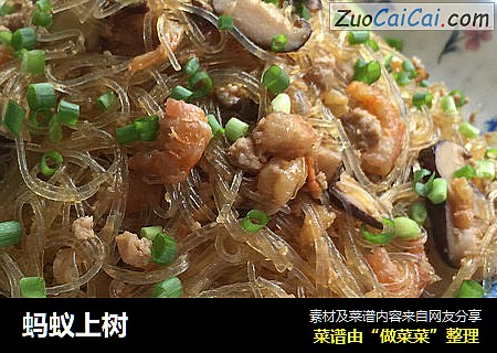 蚂蚁上树