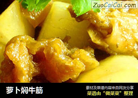 萝卜焖牛筋