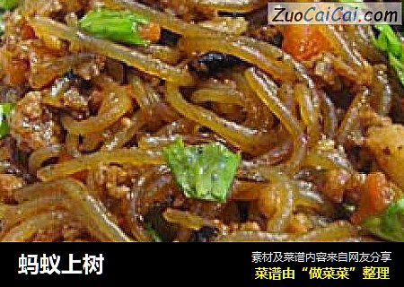 蚂蚁上树