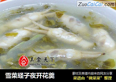 雪菜蛏子夜开花羹