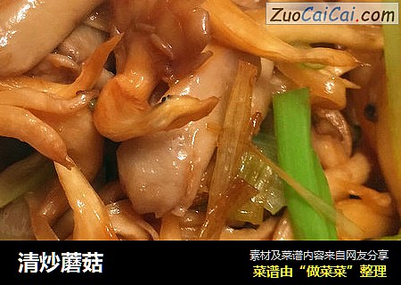 清炒蘑菇