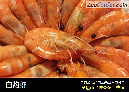 白灼虾