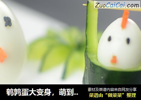 鹌鹑蛋大变身，萌到哭了有木有呢