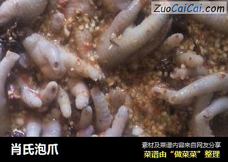 肖氏泡爪