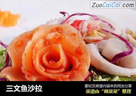 三文鱼沙拉