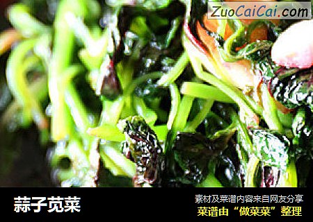 蒜子苋菜
