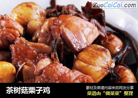 茶树菇栗子鸡