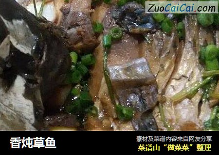 香炖草鱼