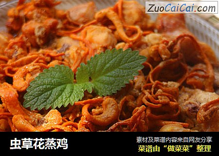 虫草花蒸鸡
