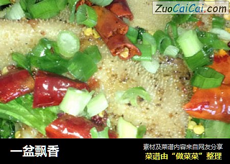 一盆飘香