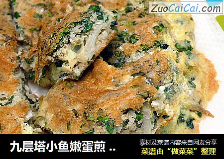 九层塔小鱼嫩蛋煎 ? 香草煎蛋4