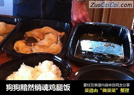 狗狗黯然销魂鸡腿饭