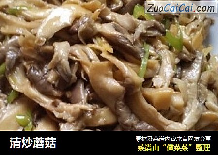 清炒蘑菇