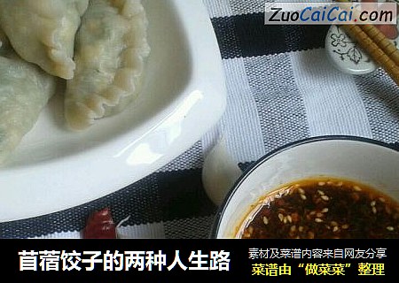 苜蓿饺子的两种人生路