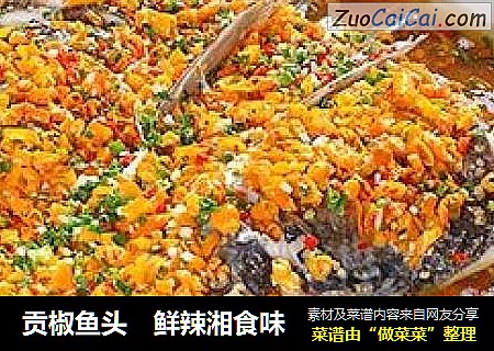 贡椒鱼头　鲜辣湘食味