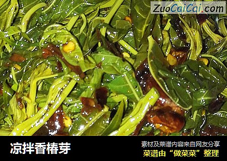 凉拌香椿芽