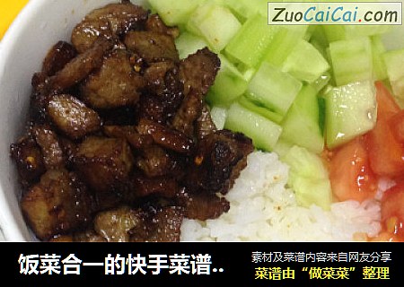 饭菜合一的快手菜谱之烤肉饭