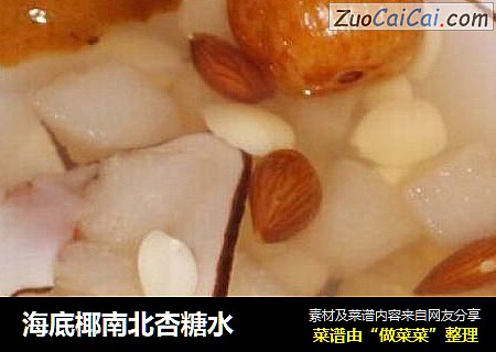 海底椰南北杏糖水