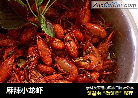 麻辣小龙虾
