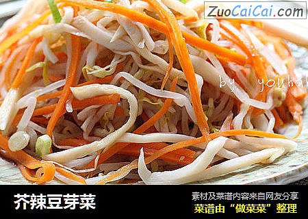 芥辣豆芽菜