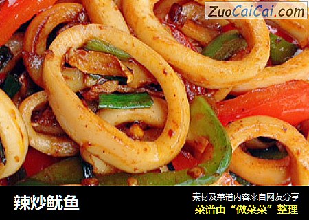 辣炒鱿鱼