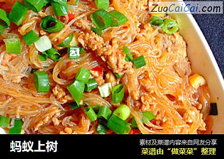 蚂蚁上树